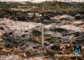 Сохранить статус — "город миллиона роз": Москва благоустраивает парки Донецка