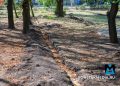 Сохранить статус — "город миллиона роз": Москва благоустраивает парки Донецка