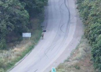 Украинский боевик расстрелял в упор женщину под Родинским