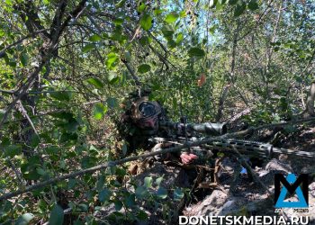 Практически захватили Удачное, продавливаем Родинское: ГВ «Центр» продолжает успехи