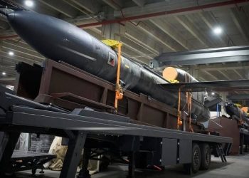 Подоляка рассказал насколько опасна украинская ракета «Фламинго»