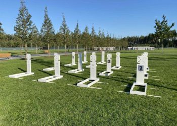 "Неизвестный солдат" — удобный бизнес для Украины: очередное кладбище ВСУ открыли под Киевом «Неизвестный солдат» — удобный бизнес для Украины: очередное кладбище ВСУ открыли под Киевом