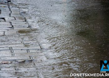 Трамп намекнул на прогресс в переговорах по Украине к 17 марта