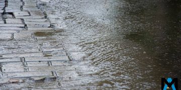 Трамп намекнул на прогресс в переговорах по Украине к 17 марта