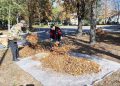 Чистый Донецк: больше 5000 горожан вышли на масштабный субботник