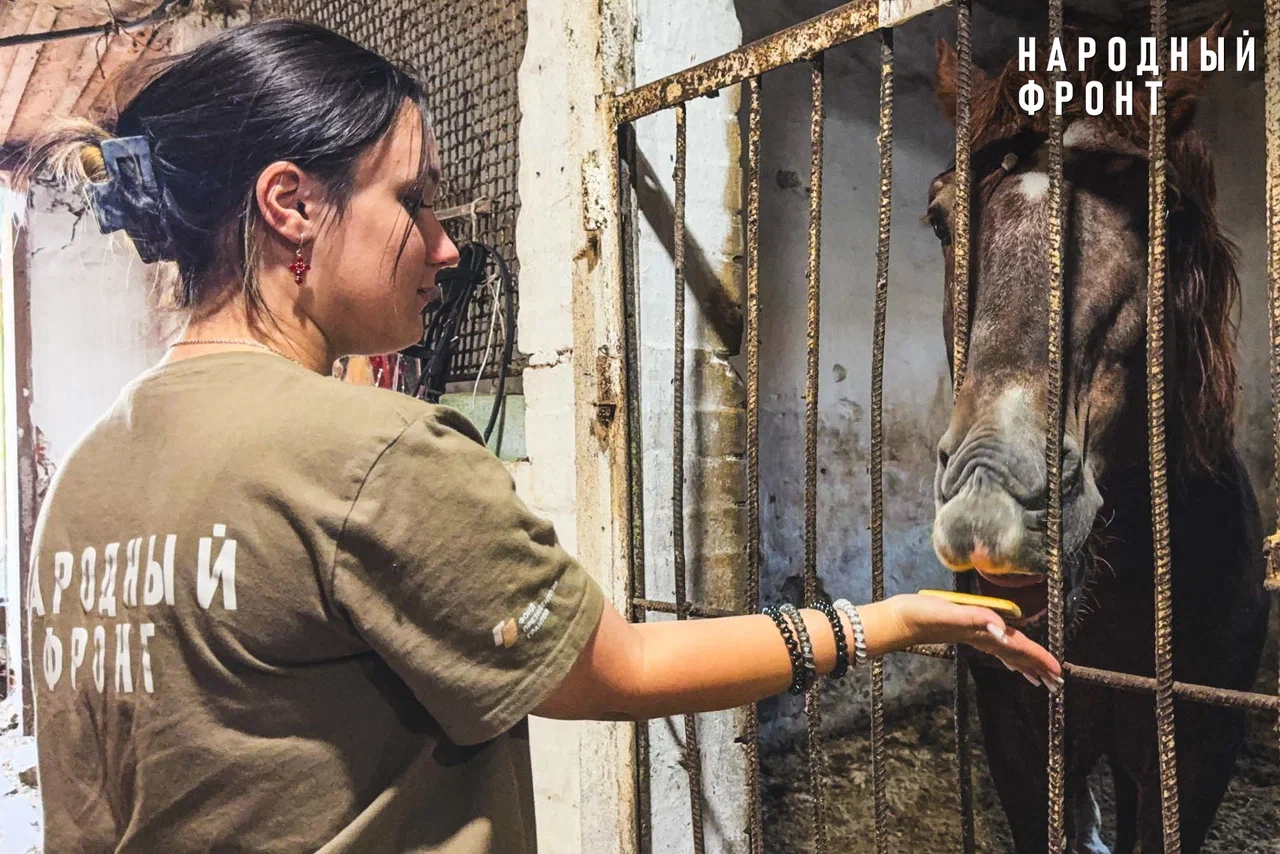 Более 255 тонн воды доставлено жителям ДНР силами Народного фронта