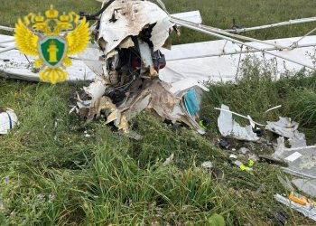 Катастрофа под Рязанью: первые кадры с места крушения самолёта