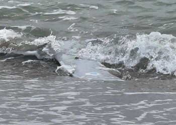 Опасная находка: украинский дрон-камикадзе «Сыч» прибило к берегу Болгарии