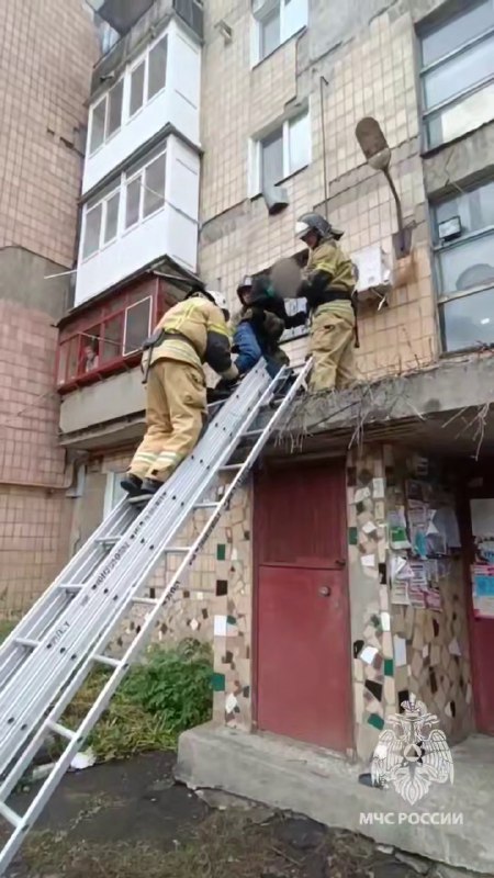 Работа спасателей и триумф спортсменов Донбасса: Дайджест за 12 октября