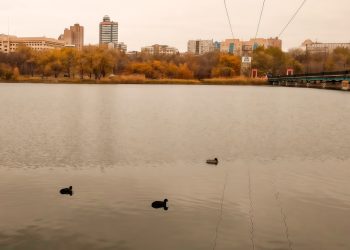 Работа спасателей и триумф спортсменов Донбасса: Дайджест за 12 октября Работа спасателей и триумф спортсменов Донбасса: Дайджест за 12 октября