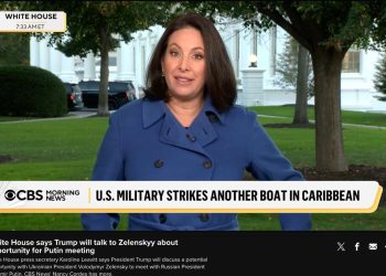 Белый дом хочет пригласить Зеленского на встречу Путина и Трампа