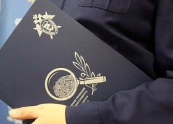 В ДНР задержан подозреваемый в убийстве, совершенном в 2018 году