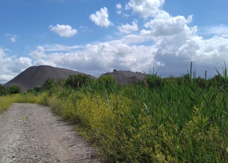 Социальная поддержка и культурная жизнь в ДНР: Мероприятия ко Дню Отца, подвоз воды и успехи спортсменов, дайджест за 19 октября Социальная поддержка и культурная жизнь в ДНР: Мероприятия ко Дню Отца, подвоз воды и успехи спортсменов, дайджест за 19 октября