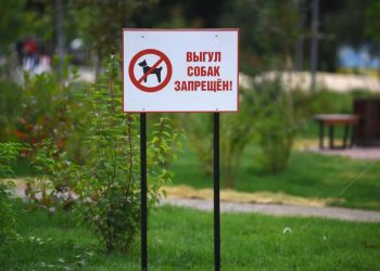 Бульвар Пушкина больше не место для прогулок с собаками: нарушителей будут выявлять во время проверочных рейдов Бульвар Пушкина больше не место для прогулок с собаками: нарушителей будут выявлять во время проверочных рейдов