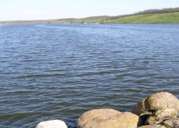 Собираются решать проблему Старобешевского водохранилища