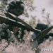 Продвижение к Новопавловке: Российские войска расширяют плацдарм в Днепропетровской области Продвижение к Новопавловке: Российские войска расширяют плацдарм в Днепропетровской области