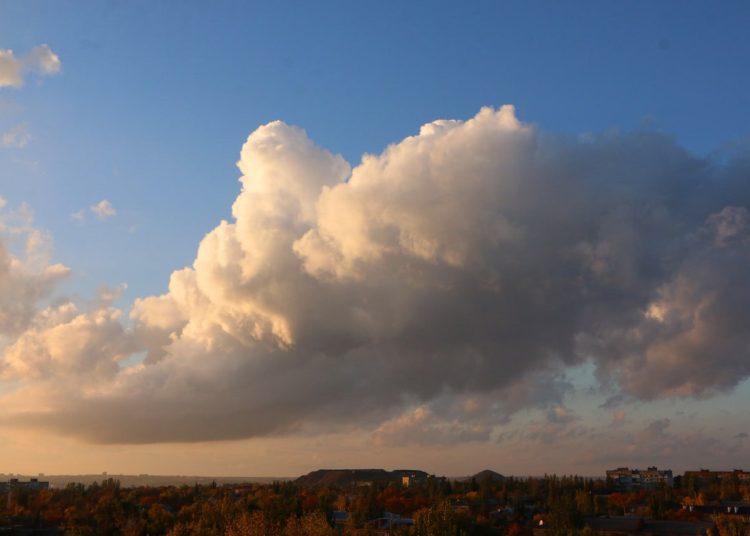Зеленый щит Донбасса: в Луганске открыли новый соццентр, а в Амвросиевке высадили 65 тысяч деревьев, дайджест за 1 ноября