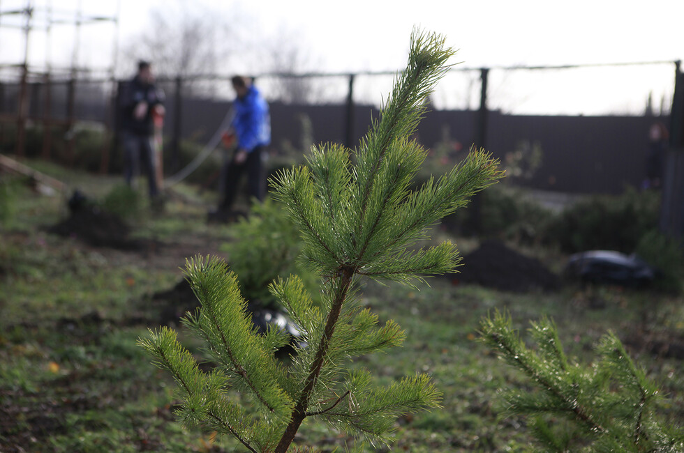 Автопоезд «Россия – Моя история» в Макеевке и строительный прогресс в ДНР: дайджест за 25 ноября