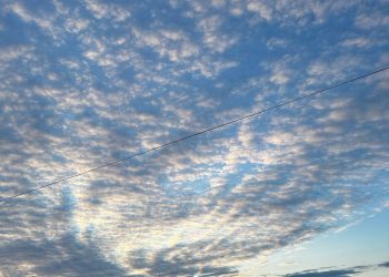 Ремонт "Дружбы", новые дома в Мариуполе: дайджест новостей за 15 ноября Ремонт «Дружбы», новые дома в Мариуполе: дайджест новостей за 15 ноября