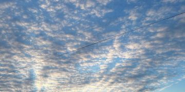 Ремонт "Дружбы", новые дома в Мариуполе: дайджест новостей за 15 ноября Ремонт «Дружбы», новые дома в Мариуполе: дайджест новостей за 15 ноября