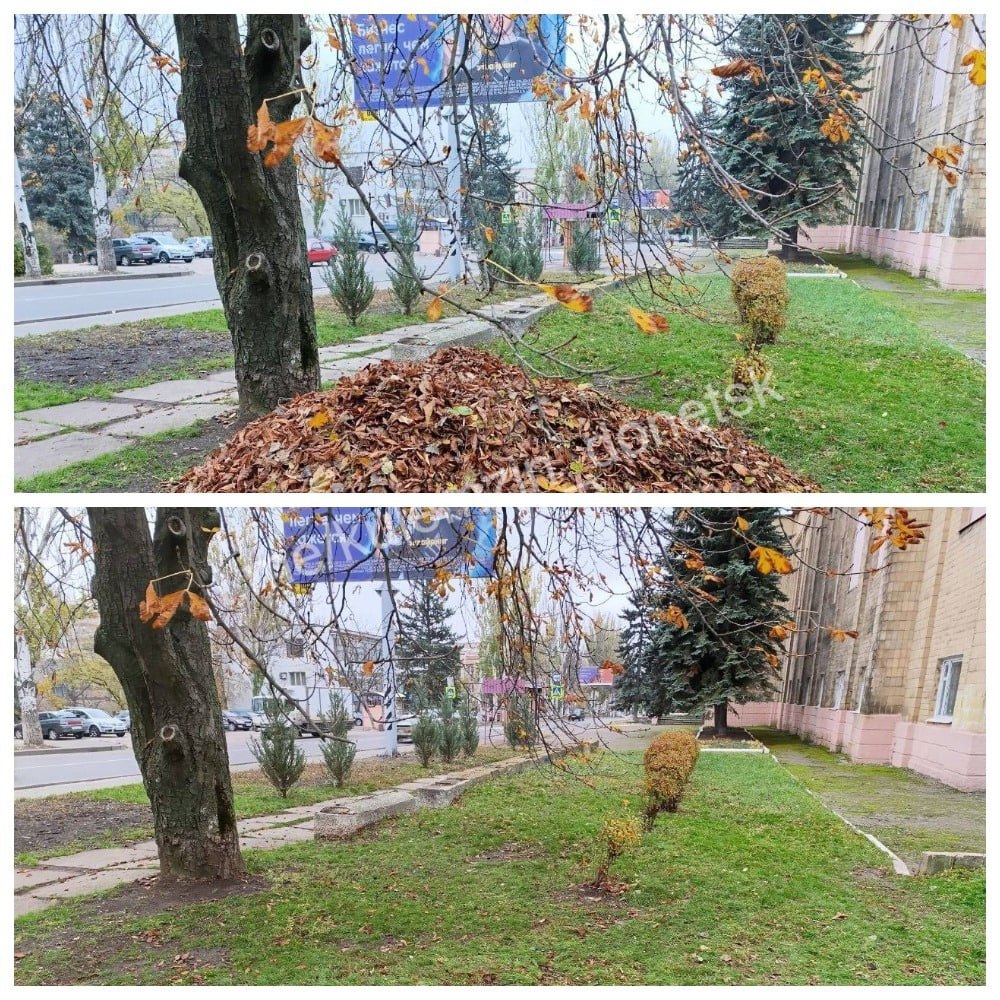 От ликвидации последствий пожаров до патриотических концертов и помощи школьников: дайджест за 6 ноября