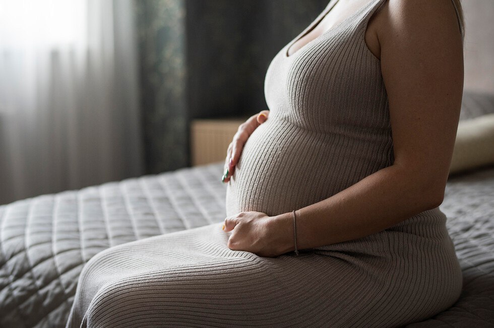 Снижение количества абортов в ДНР, ж/д пути в Ростов: дайджест новостей за 7 ноября