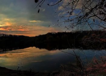 Снижение количества абортов в ДНР, ж/д пути в Ростов: дайджест новостей за 7 ноября Снижение количества абортов в ДНР, ж/д пути в Ростов: дайджест новостей за 7 ноября