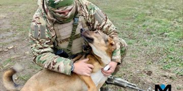 ГВ «Центр» прорывается к трассе Красноармейск–Павлоград и окружает Новопавловку