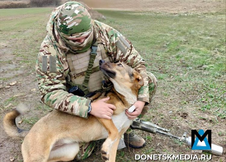 ГВ «Центр» прорывается к трассе Красноармейск–Павлоград и окружает Новопавловку