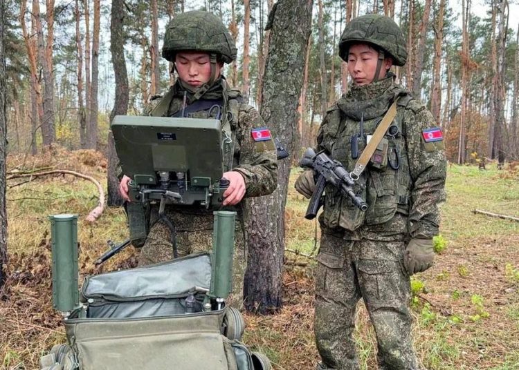 Россия и КНДР объединили усилия в борьбе с минами на границе