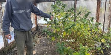 Полиция Ясиноватой изъяла 18 кг каннабиса и артиллерийский порох