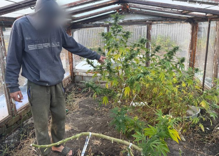 Полиция Ясиноватой изъяла 18 кг каннабиса и артиллерийский порох