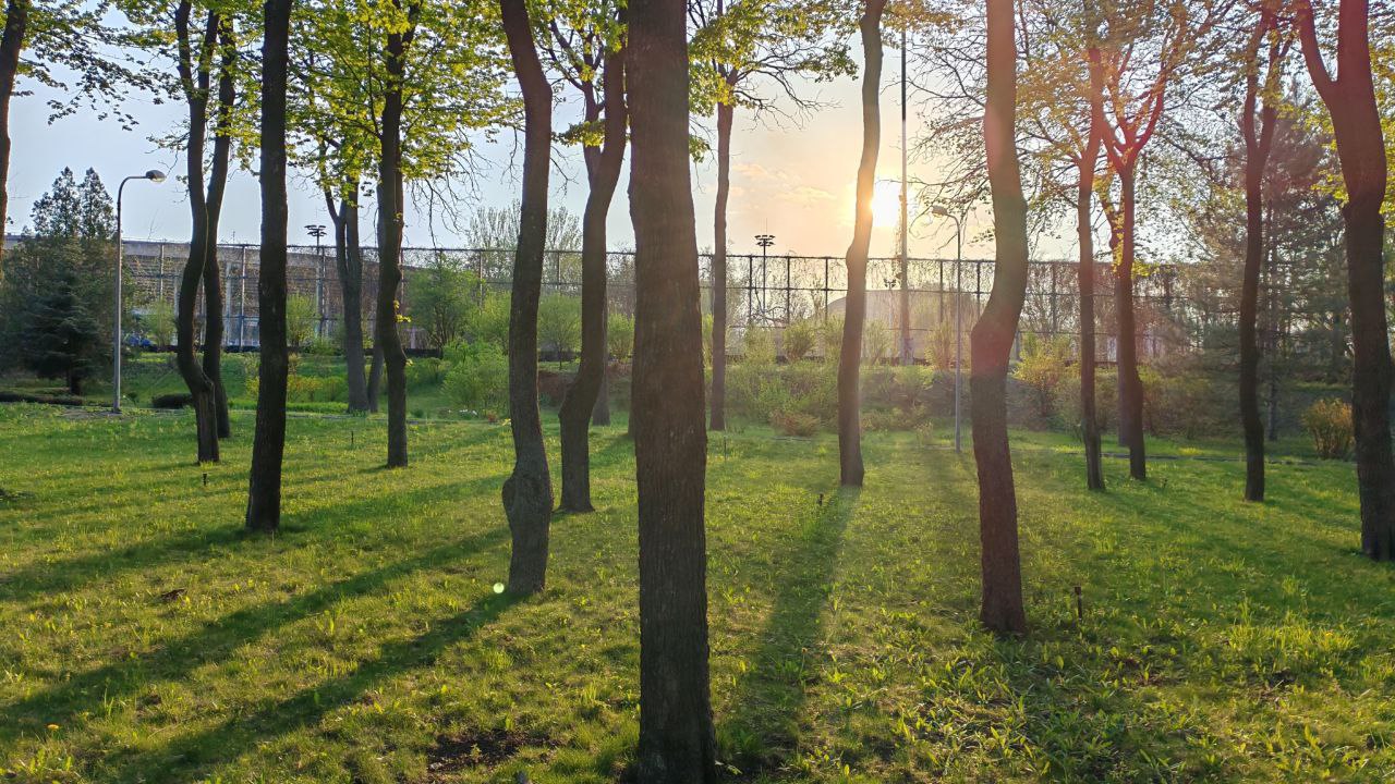 Реставрация моста по Ильича, расширенный геноскринин младенцев: дайджест новостей за 27 ноября