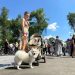 Города Донбасса обретают новую жизнь: преображение парков Горького, «Металлург», «Строитель»