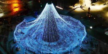 Елки желаний, новые стройки и триумф талантов в Москве. Дайджест за 24 декабря