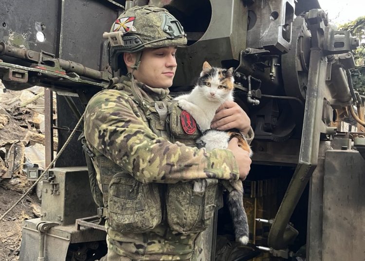 В ходе денацификации группировка «Центр» наносит мощные удары по киевским нацистам на нескольких направлениях