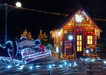 Мини-елка в Горловке, конь-художник в Донецке и «новогодний» эвакуатор в Торезе. Дайджест за 1 января