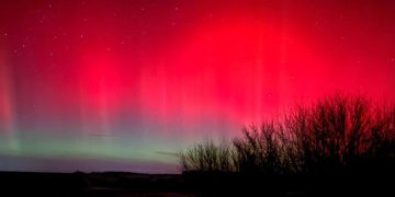 Северное сияние над Донбассом, реновация-2026 и экологические инициативы. Дайджест за 20 января