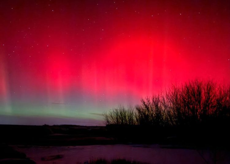 Северное сияние над Донбассом, реновация-2026 и экологические инициативы. Дайджест за 20 января