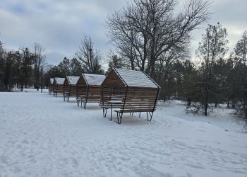 Дороги в будущее, отважная молодежь и помощь больницам. Дайджест за 21 января