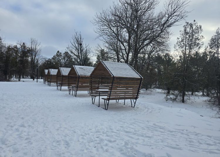 Дороги в будущее, отважная молодежь и помощь больницам. Дайджест за 21 января Дороги в будущее, отважная молодежь и помощь больницам. Дайджест за 21 января