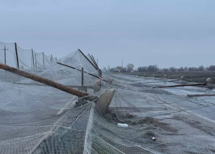 Антидроновый туннель рухнул на трассе Николаев-Херсон из-за халатности Киева