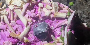 В Мангуше задержали дилеров, прятавших наркотики в контейнерах с салатами