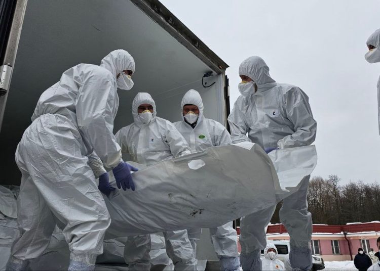 Россия передала Украине 1000 тел и получила 35 российских воинов