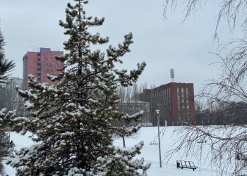 В Донецке прошли межрегиональные соревнования по самбо «Я — русский». Дайджест новостей ДНР за 16 февраля