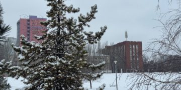 В Донецке прошли межрегиональные соревнования по самбо «Я — русский». Дайджест новостей ДНР за 16 февраля