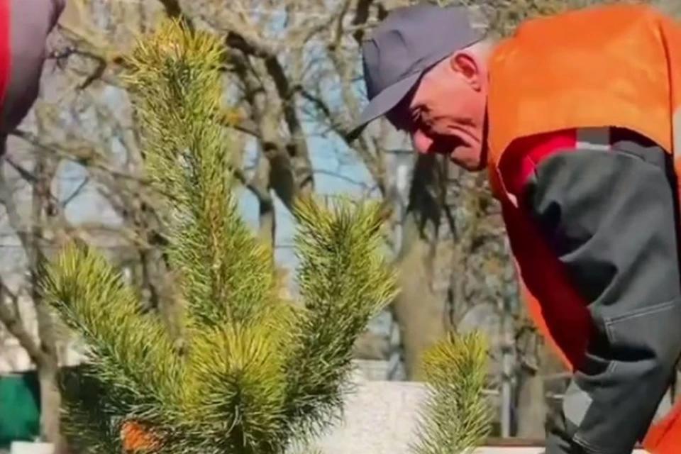 От «Малороссийской» симфонии в Луганске до ЖК «Садовая» в Макеевке. Дайджест за 14 марта