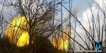 «Центр» докладывает: Украинские войска сопротивляются лишь на окраинах Гришино