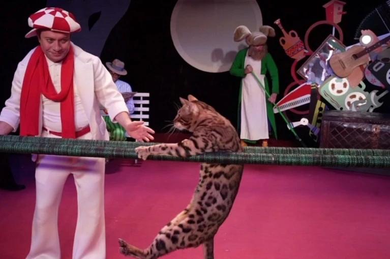 Котошоу в Донецке, весеннее обновление и театральные премьеры. Дайджест за 26 марта