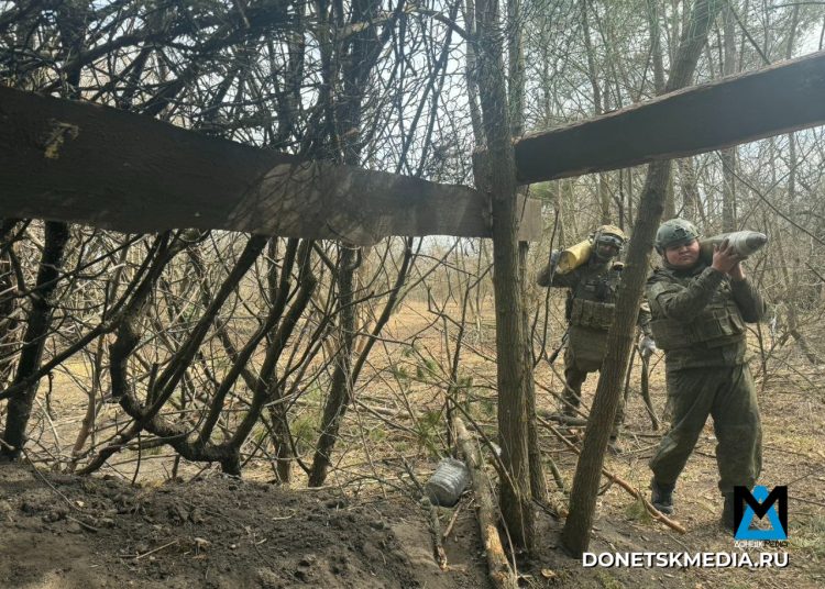 Войска «Центра» закрепляются на первых улицах Белицкого